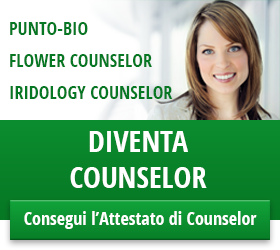 banner counselor