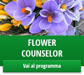 banner flower counselor